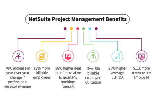 Netsuite Project Management infographic